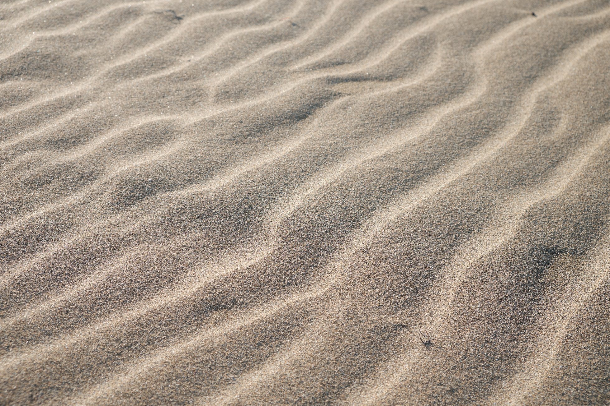 Brown Sand